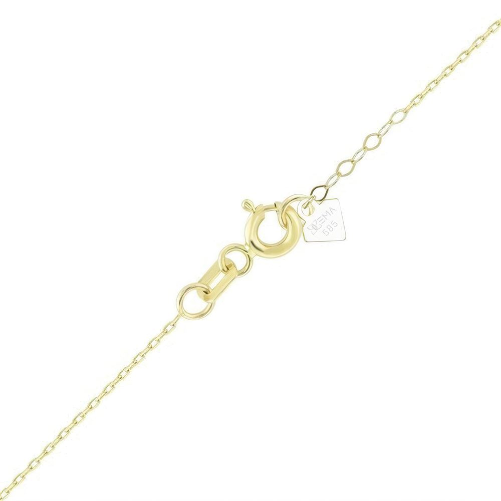 Kuzey Yıldızı Kalkan Altın Kolye 45Cm Zincir