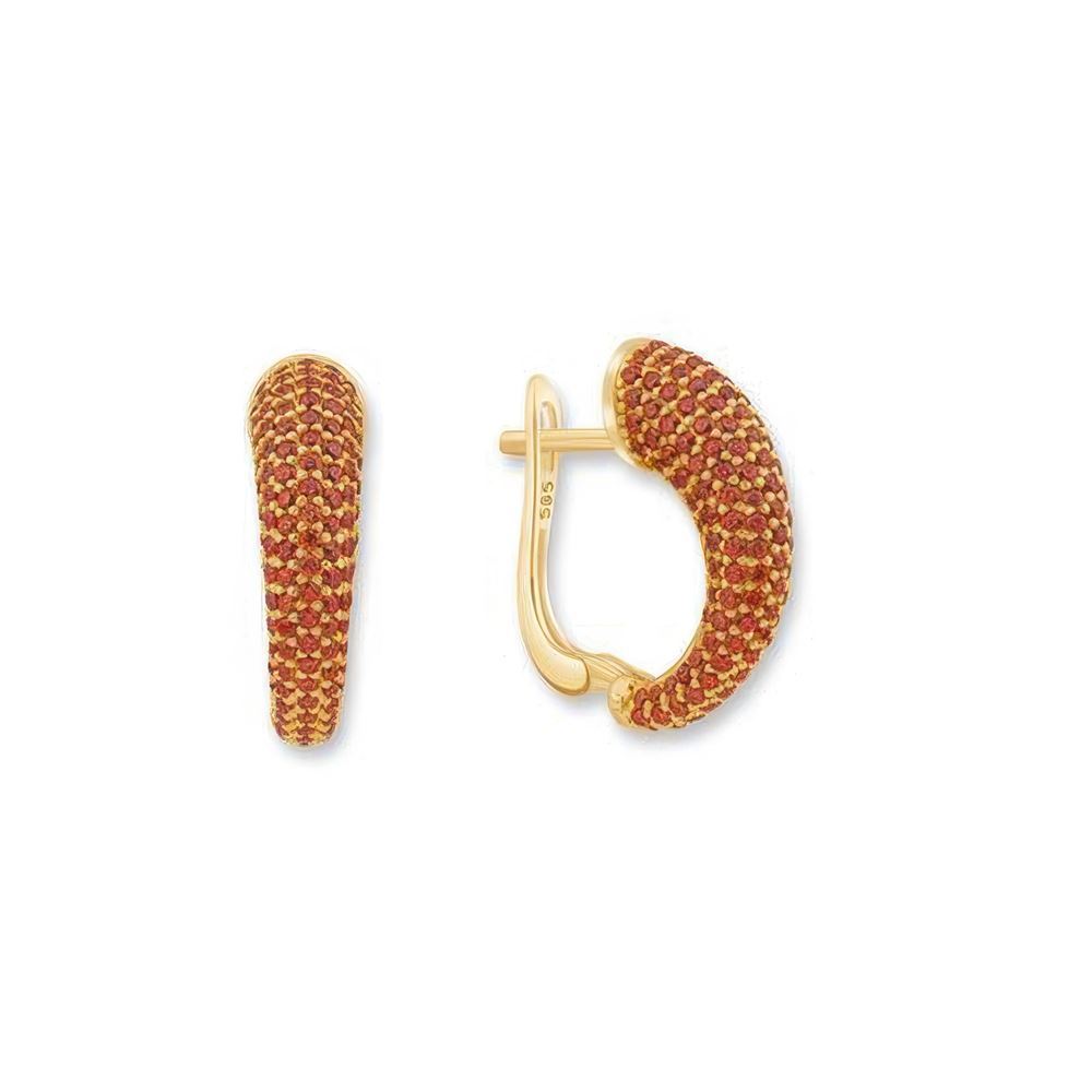 Taşlı Altın Küpe