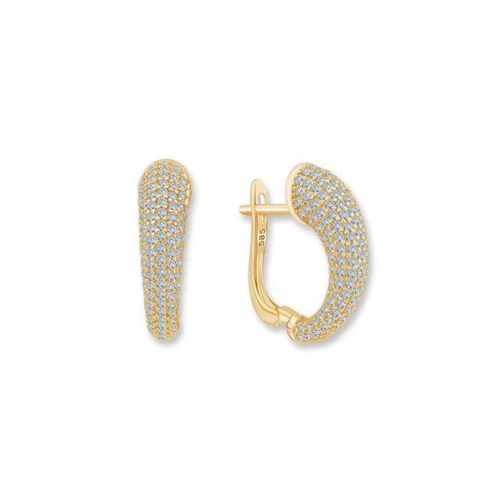 Taşlı Altın Küpe