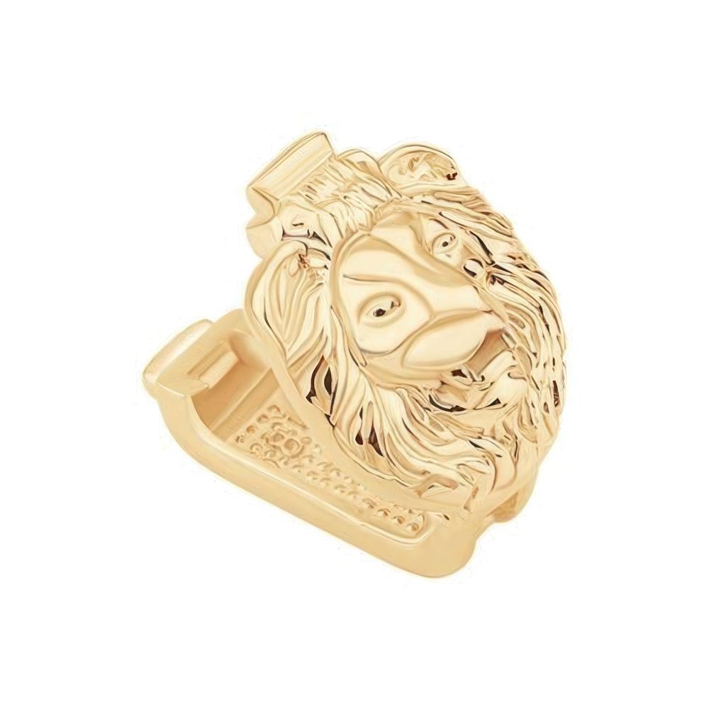 Aslan 9Mm Bileklik Charm